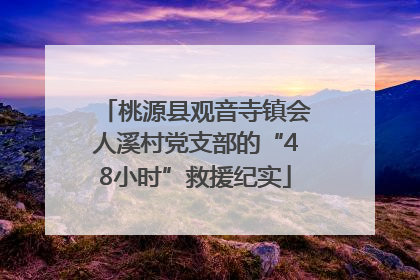 桃源县观音寺镇会人溪村党支部的“48小时”救援纪实