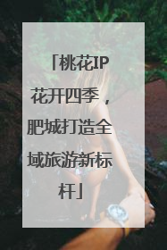 桃花IP花开四季，肥城打造全域旅游新标杆