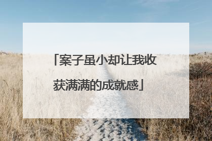 案子虽小却让我收获满满的成就感