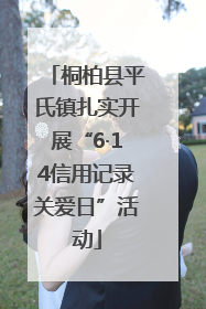 桐柏县平氏镇扎实开展“6·14信用记录关爱日”活动