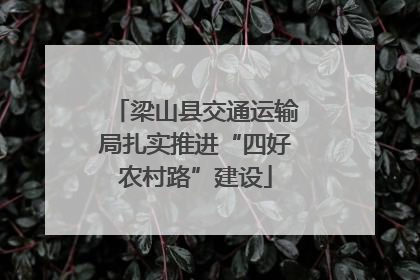 梁山县交通运输局扎实推进“四好农村路”建设