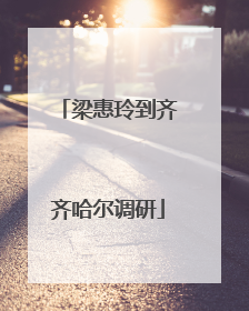 梁惠玲到齐齐哈尔调研