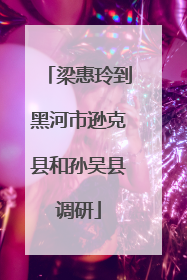梁惠玲到黑河市逊克县和孙吴县调研
