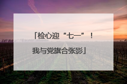 检心迎“七一”！我与党旗合张影