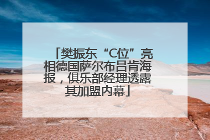 樊振东“C位”亮相德国萨尔布吕肯海报，俱乐部经理透露其加盟内幕