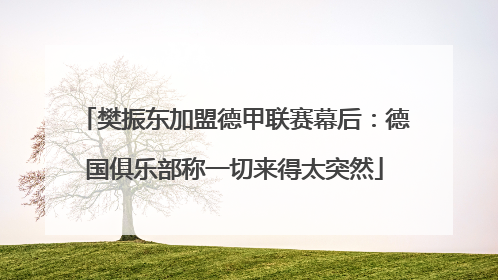 樊振东加盟德甲联赛幕后：德国俱乐部称一切来得太突然
