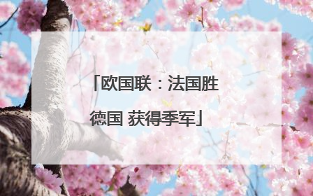 欧国联：法国胜德国 获得季军