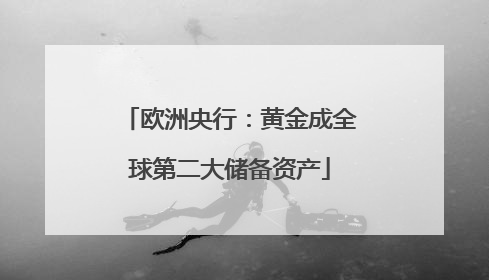 欧洲央行：黄金成全球第二大储备资产