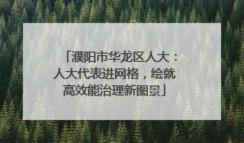 濮阳市华龙区人大：人大代表进网格，绘就高效能治理新图景