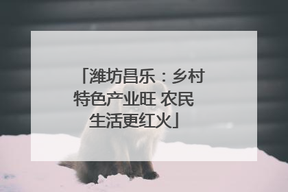 潍坊昌乐：乡村特色产业旺 农民生活更红火