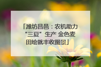 潍坊昌邑：农机助力“三夏”生产 金色麦田绘就丰收图景