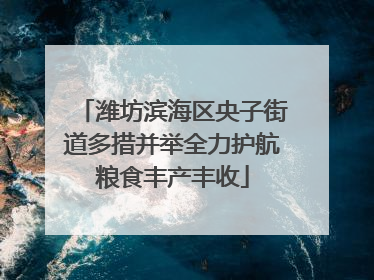 潍坊滨海区央子街道多措并举全力护航粮食丰产丰收
