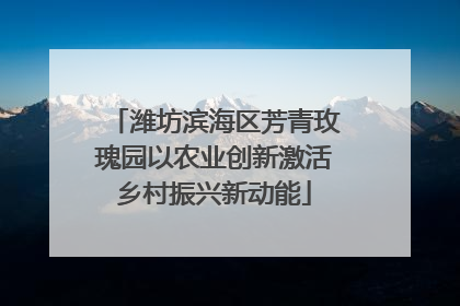 潍坊滨海区芳青玫瑰园以农业创新激活乡村振兴新动能