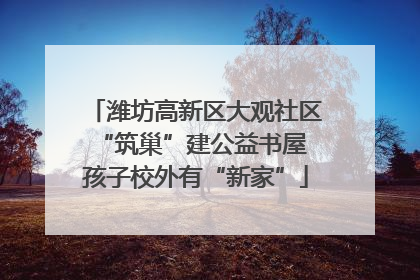 潍坊高新区大观社区“筑巢”建公益书屋 孩子校外有“新家”