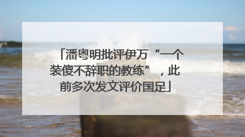 潘粤明批评伊万“一个装傻不辞职的教练”，此前多次发文评价国足