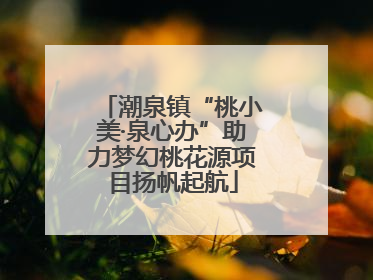 潮泉镇“桃小美·泉心办”助力梦幻桃花源项目扬帆起航