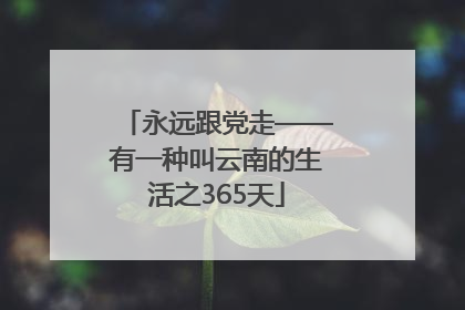 永远跟党走——有一种叫云南的生活之365天