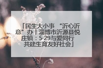 民生大小事 “沂心沂意”办丨淄博市沂源县悦庄镇：5·29与爱同行 共建生育友好社会