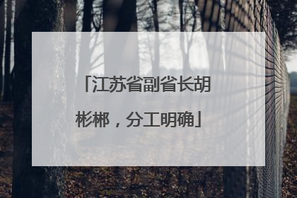 江苏省副省长胡彬郴，分工明确
