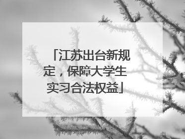 江苏出台新规定，保障大学生实习合法权益