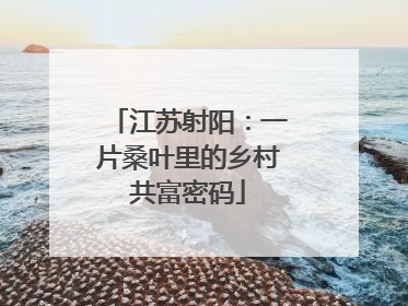 江苏射阳：一片桑叶里的乡村共富密码