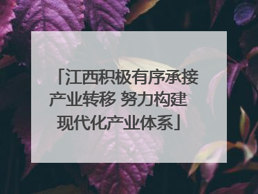 江西积极有序承接产业转移 努力构建现代化产业体系