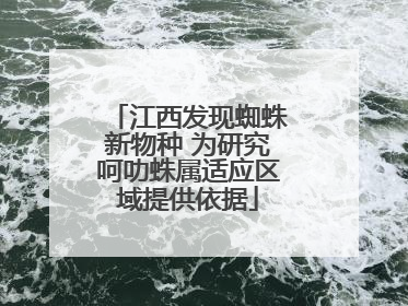 江西发现蜘蛛新物种 为研究呵叻蛛属适应区域提供依据