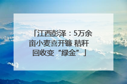 江西彭泽：5万余亩小麦喜开镰 秸秆回收变“绿金”