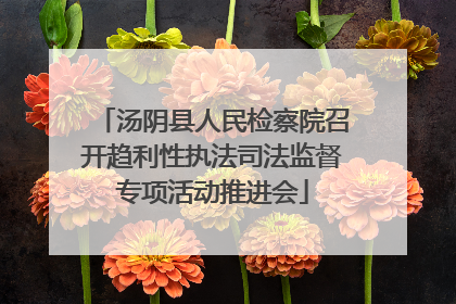 汤阴县人民检察院召开趋利性执法司法监督专项活动推进会