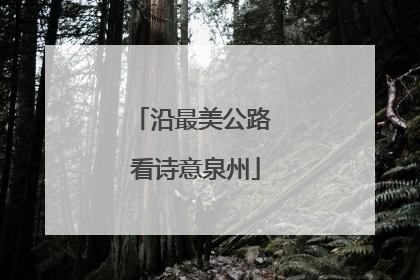 沿最美公路 看诗意泉州