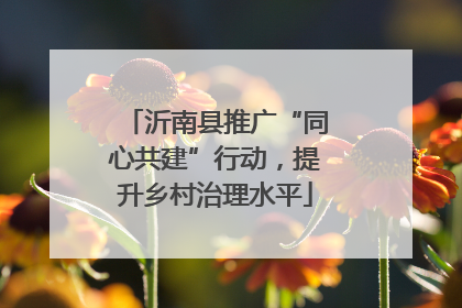 沂南县推广“同心共建”行动，提升乡村治理水平