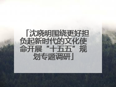 沈晓明围绕更好担负起新时代的文化使命开展“十五五”规划专题调研