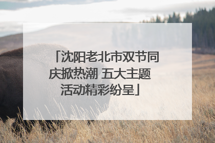 沈阳老北市双节同庆掀热潮 五大主题活动精彩纷呈