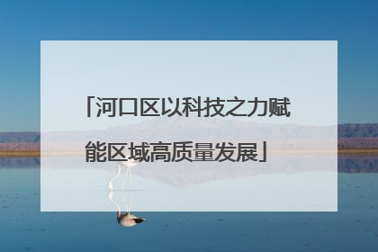 河口区以科技之力赋能区域高质量发展