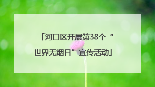 河口区开展第38个“世界无烟日”宣传活动