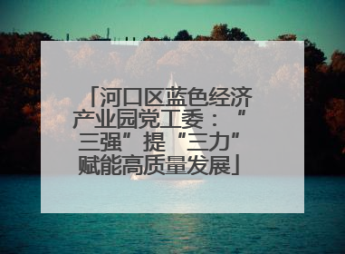 河口区蓝色经济产业园党工委：“三强”提“三力”赋能高质量发展