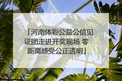 河南体彩公益公信见证团走进开奖现场 零距离感受公正透明