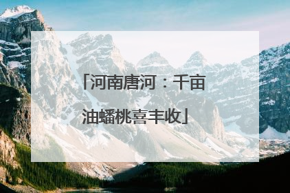 河南唐河：千亩油蟠桃喜丰收