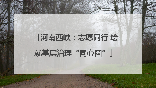 河南西峡：志愿同行 绘就基层治理“同心圆”