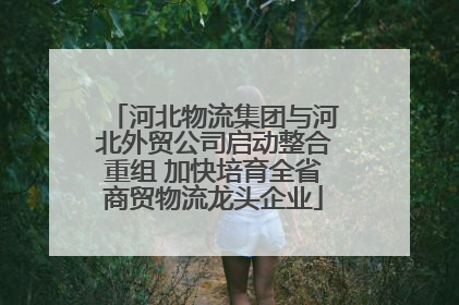 河北物流集团与河北外贸公司启动整合重组 加快培育全省商贸物流龙头企业