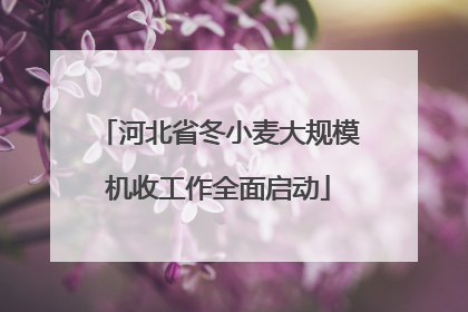 河北省冬小麦大规模机收工作全面启动