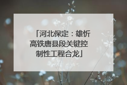 河北保定：雄忻高铁唐县段关键控制性工程合龙