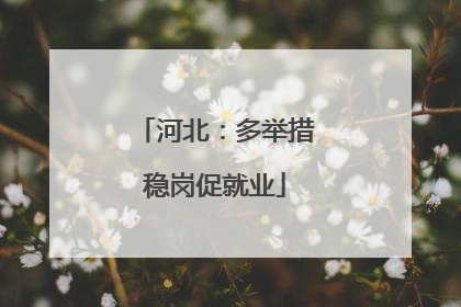 河北：多举措稳岗促就业