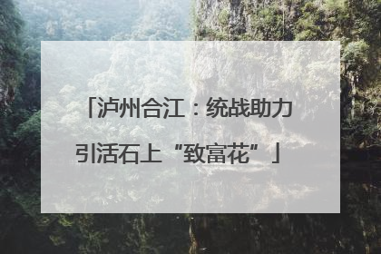 泸州合江：统战助力引活石上“致富花”