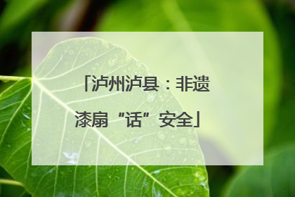泸州泸县：非遗漆扇“话”安全