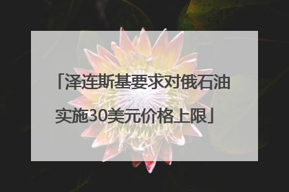 泽连斯基要求对俄石油实施30美元价格上限