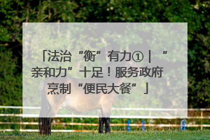 法治“衡”有力①｜“亲和力”十足！服务政府烹制“便民大餐”