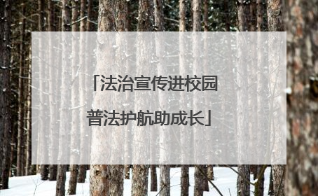 法治宣传进校园 普法护航助成长