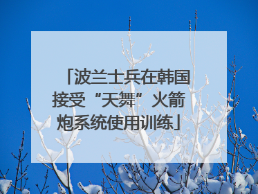 波兰士兵在韩国接受“天舞”火箭炮系统使用训练
