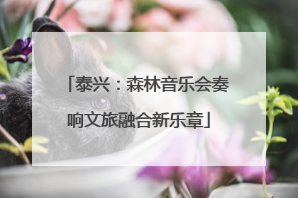 泰兴：森林音乐会奏响文旅融合新乐章